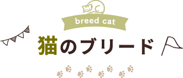 breed cat 猫のブリード